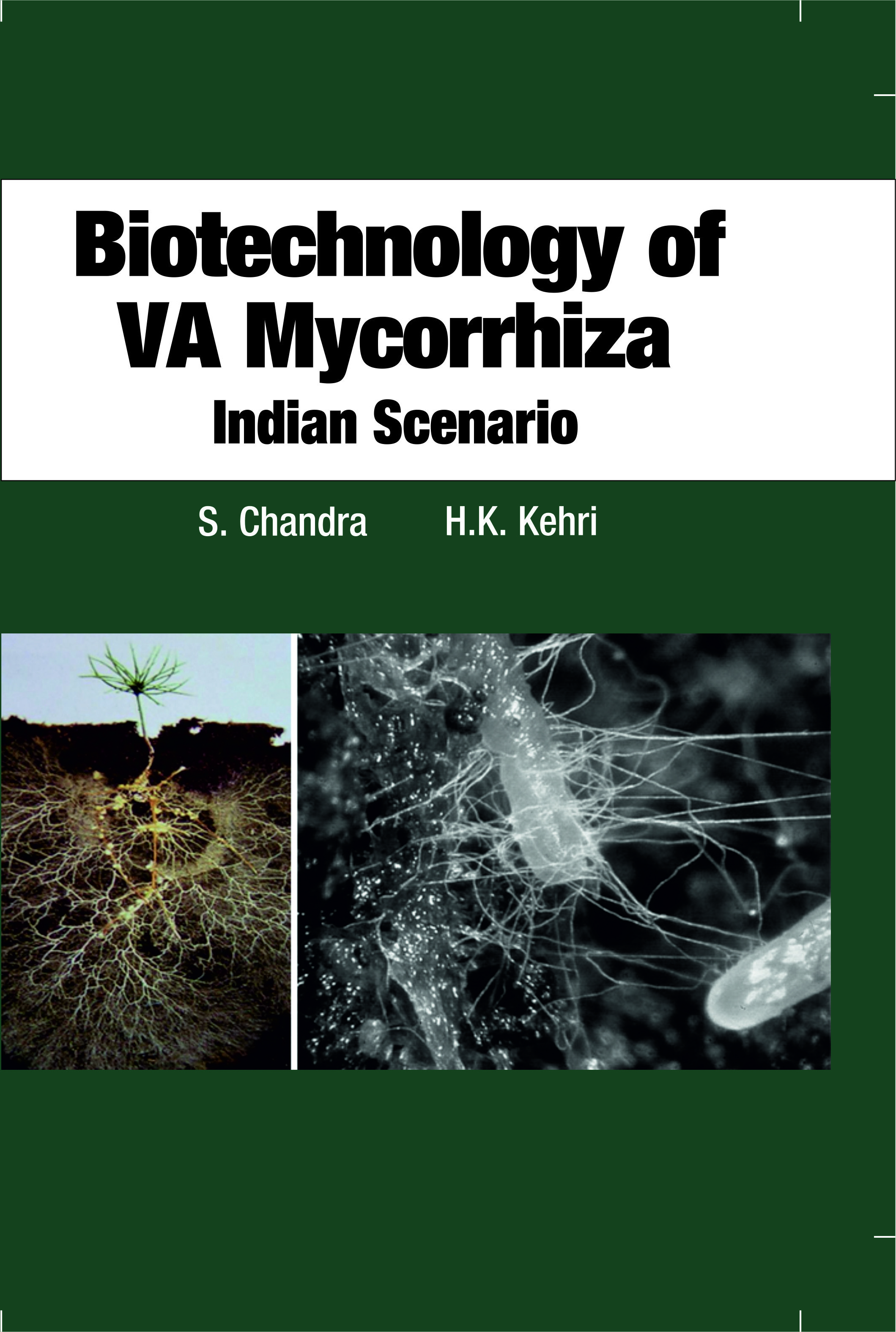 BIOTECHNOLOGY OF VA MYCORRHIZZA: INDIAN SCENARIO
