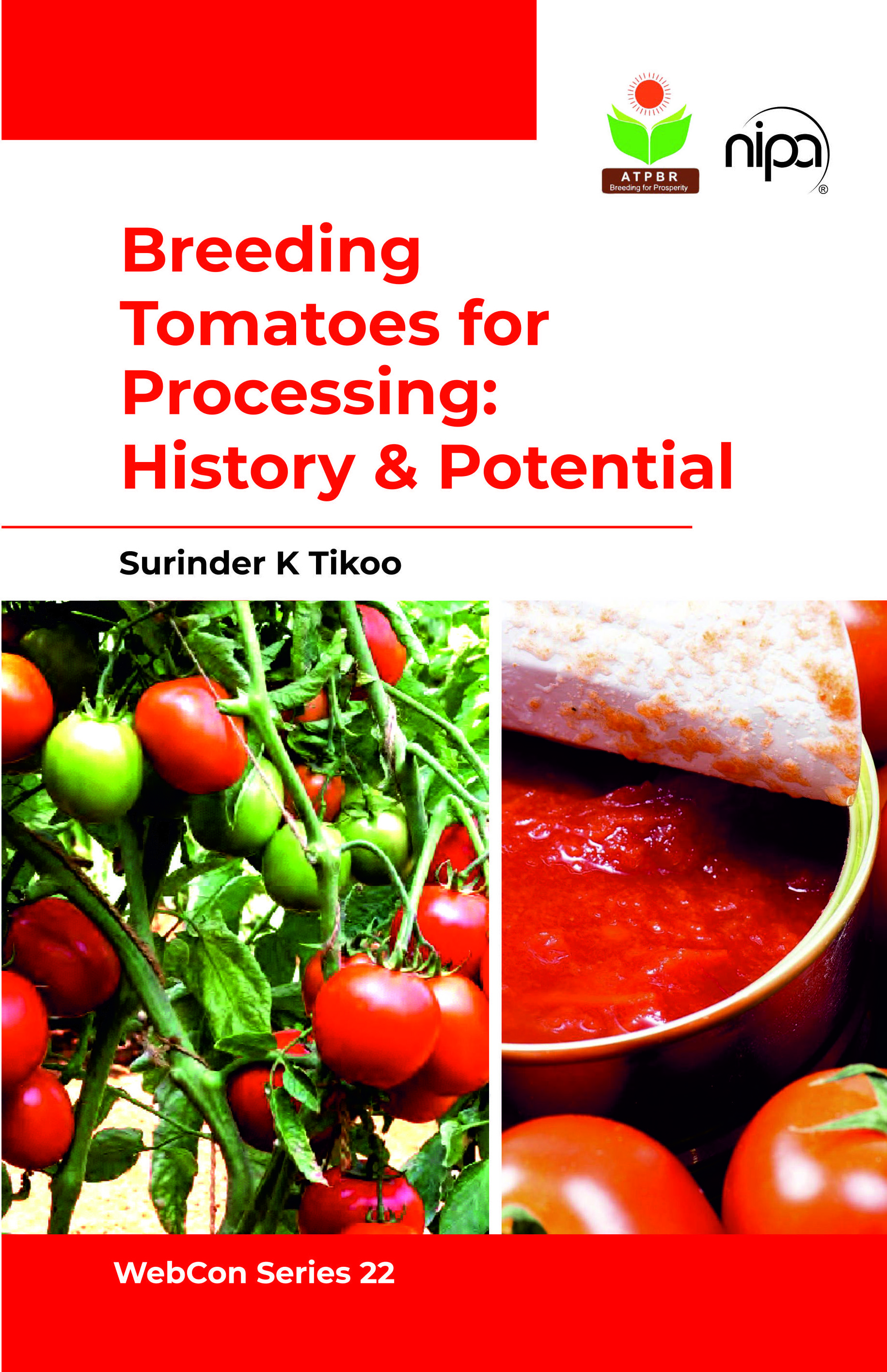 BREEDING TOMATOES FOR PROCESSING: HISTORY & POTENTIAL