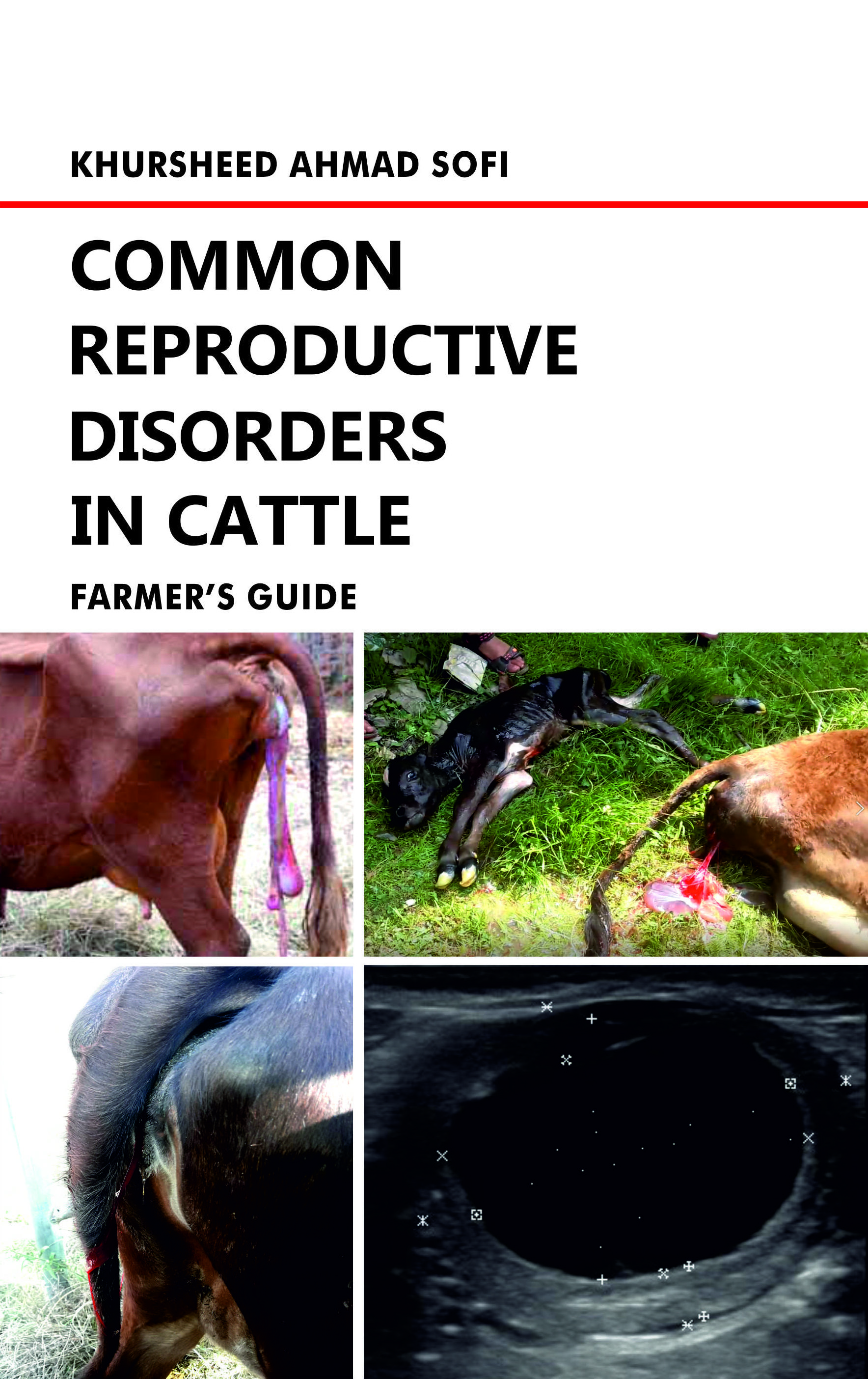 COMMON REPRODUCTIVE DISORDERS IN CATTLE: FARMER’S GUIDE 
