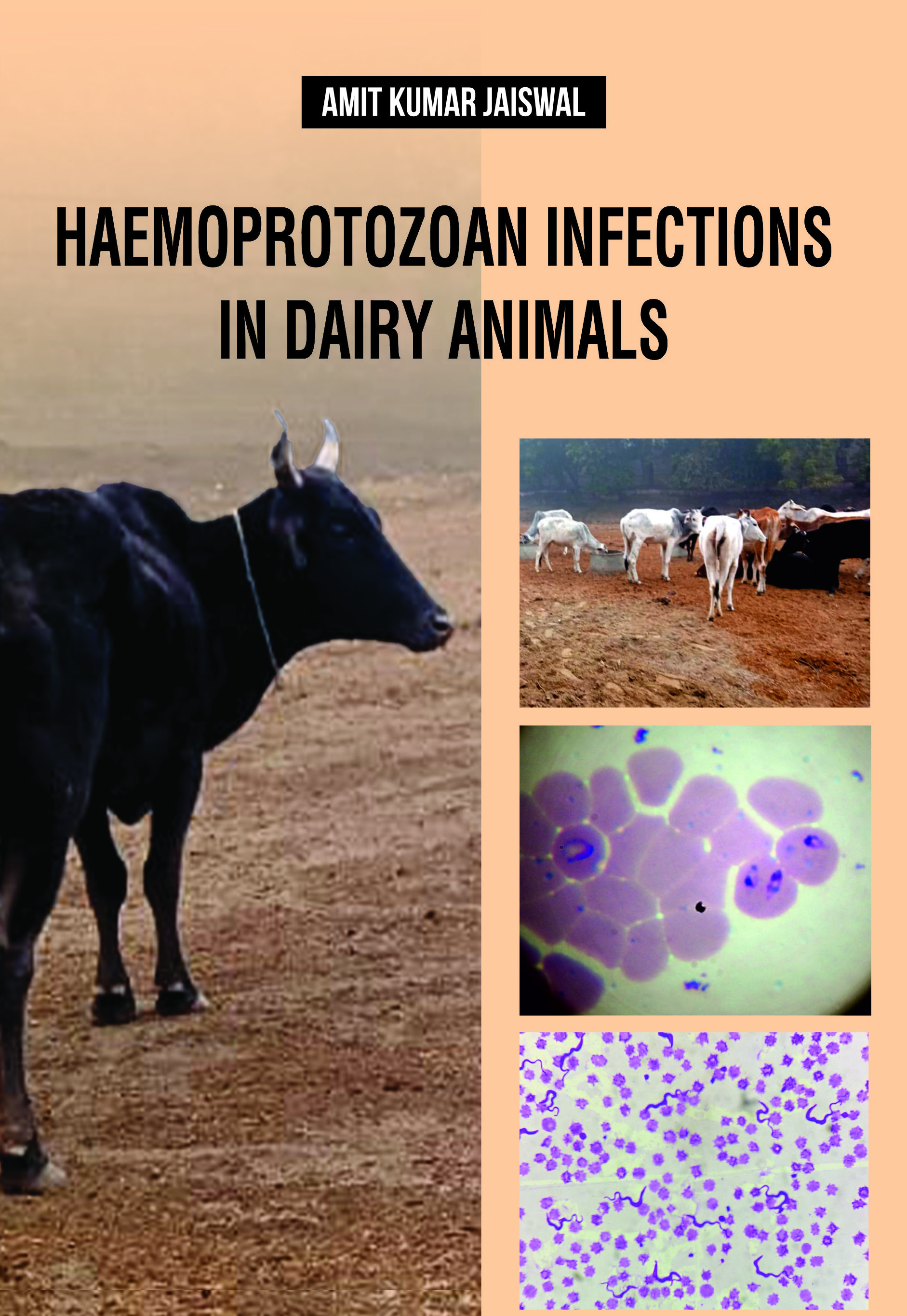 HAEMOPROTOZOAN INFECTIONS IN DAIRY ANIMALS