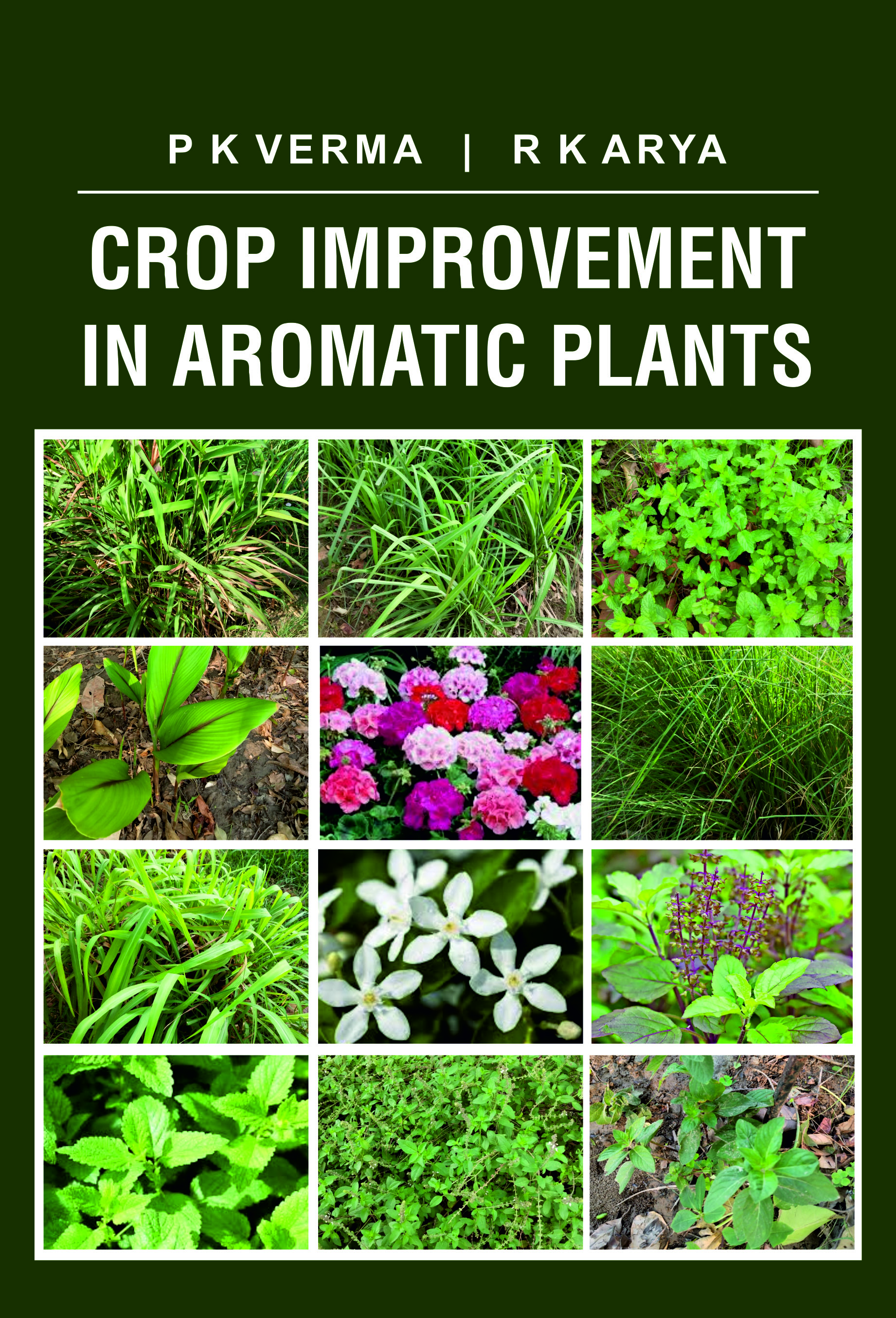 CROP IMPROVEMENT IN AROMATIC PLANTS