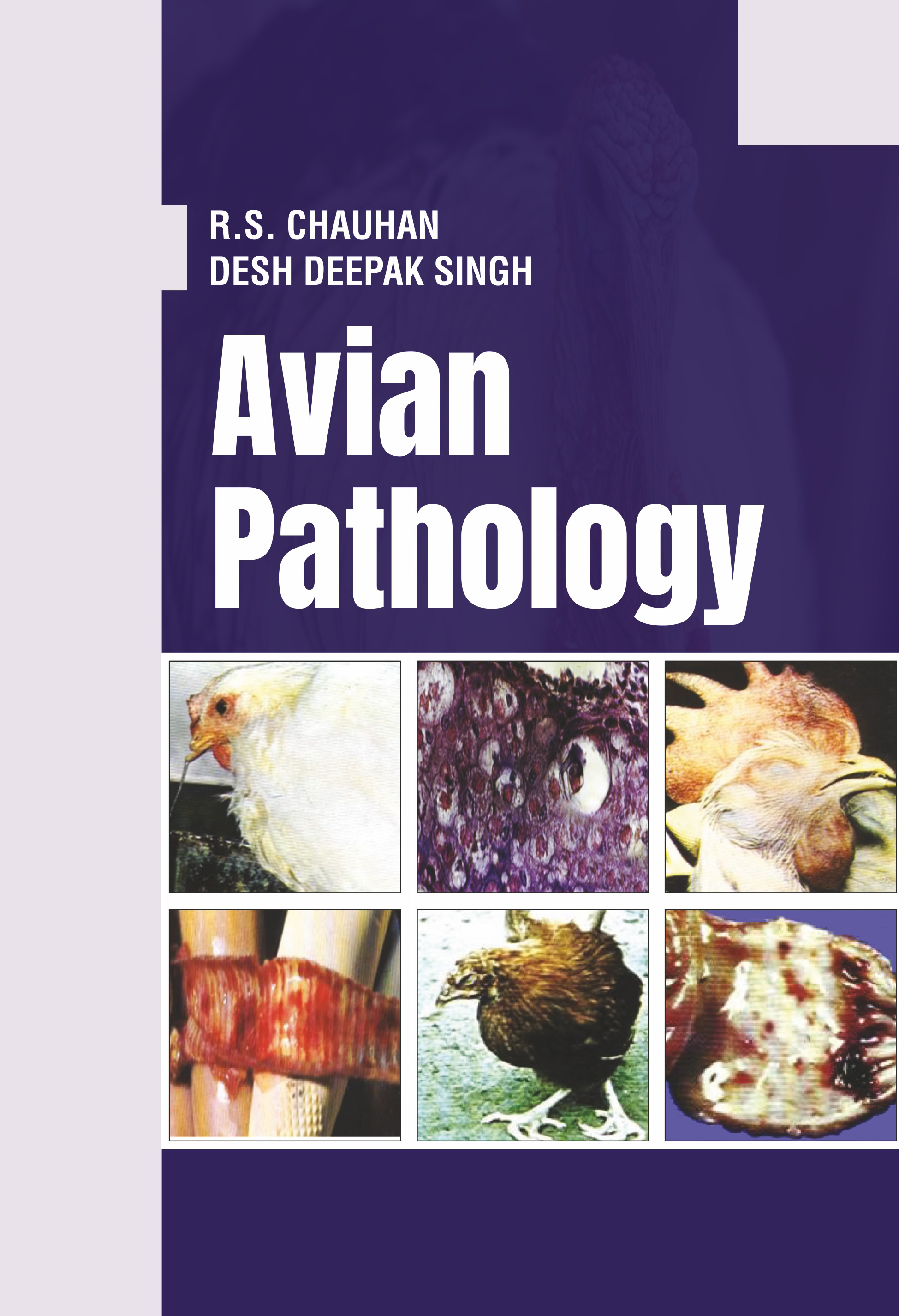AVIAN PATHOLOGY