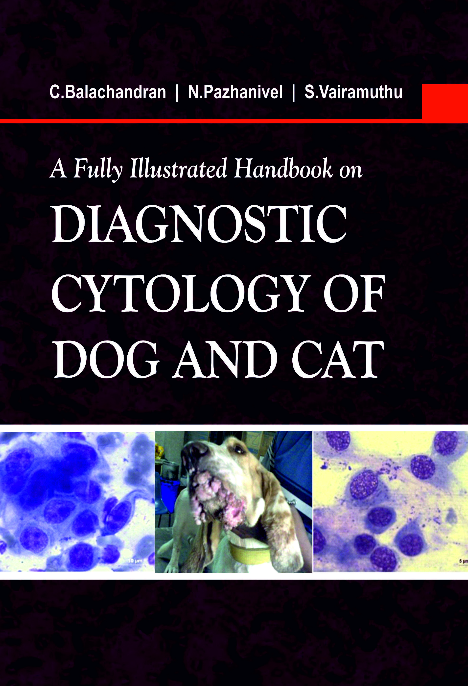 A FULLY ILLUSTRATED HANDBOOK ON DIAGNOSTIC CYTOLOGY OF DOG AND CAT book cover