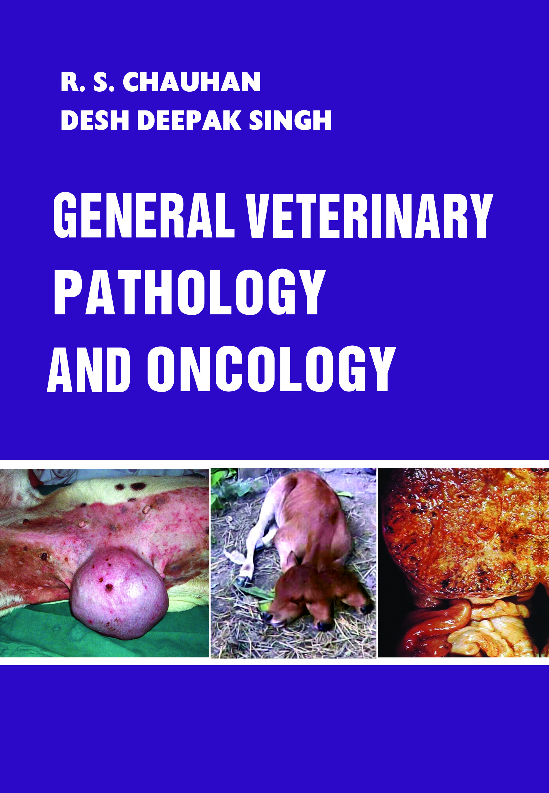 GENERAL VETERINARY PATHOLOGY AND ONCOLOGY