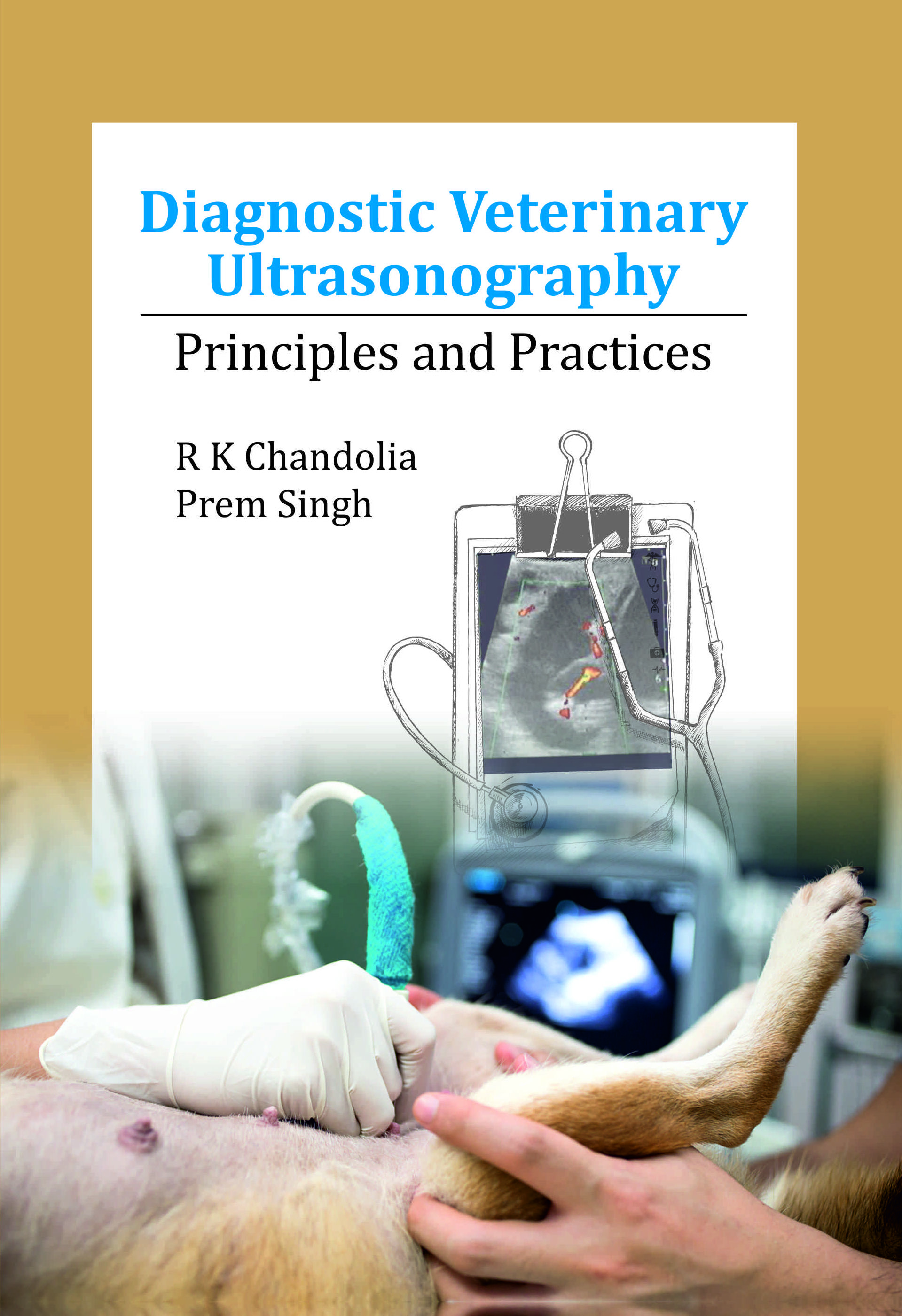 DIAGNOSTIC VETERINARY ULTRASONOGRAPHY: PRINCIPLES AND PRACTICES