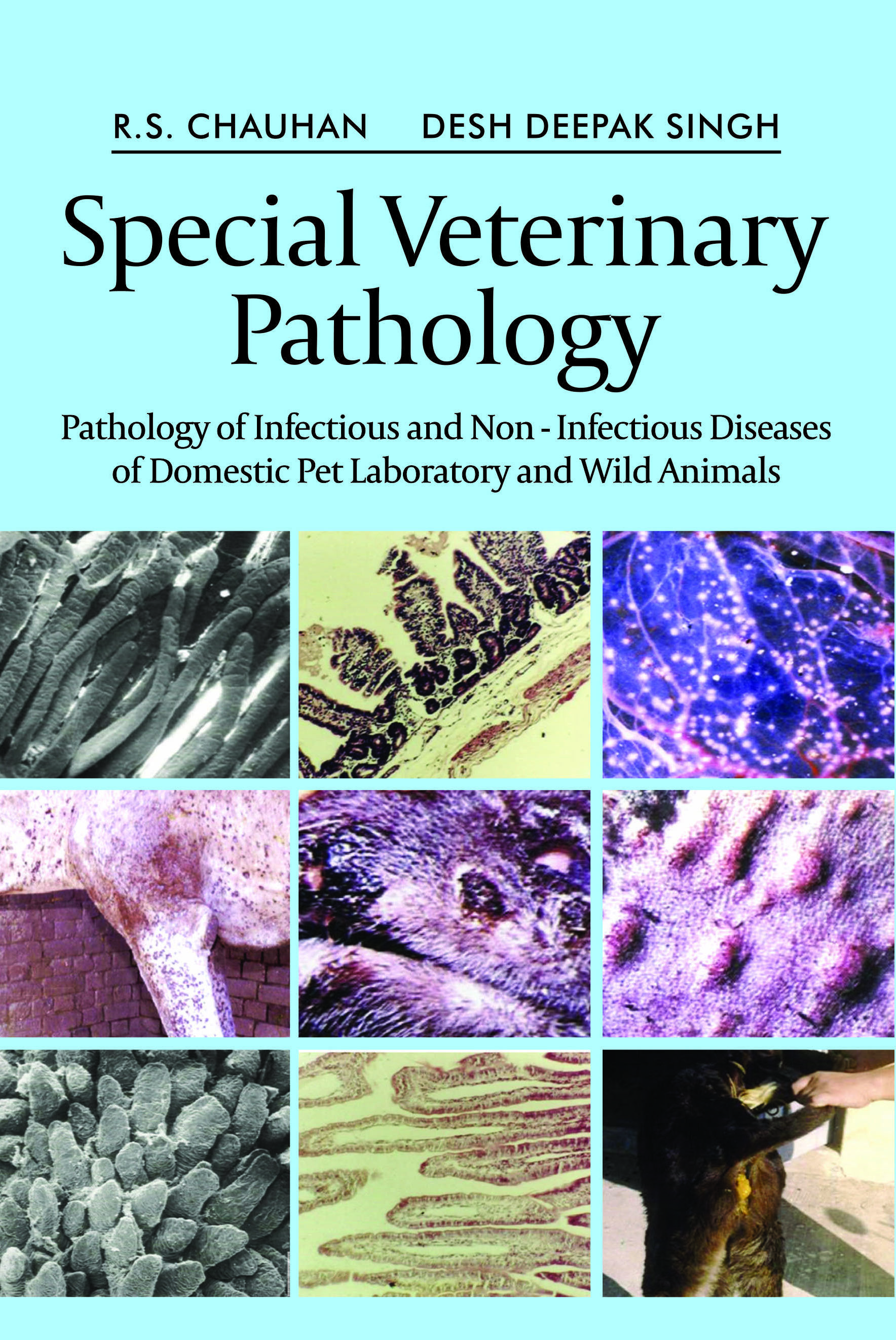 SPECIAL VETERINARY PATHOLOGY: PATHOLOGY OF INFECTIOUS AND NON - INFECTIOUS DISEASES OF DOMESTIC PET, LABORATORY AND WILD ANIMALS