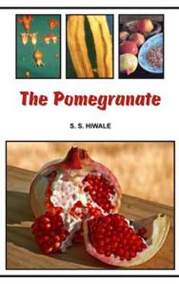 The Pomegranate