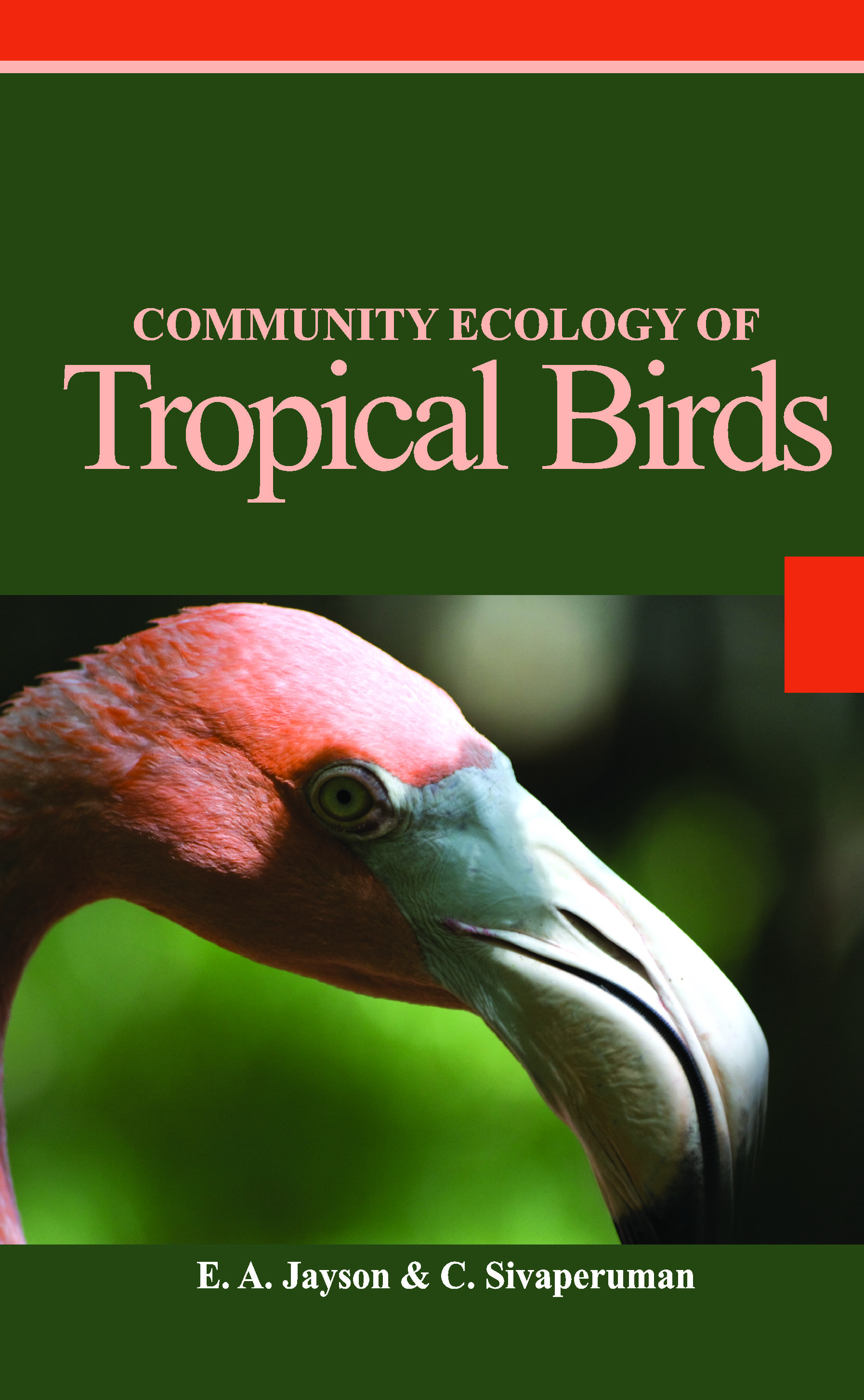 COMMUNITY ECOLOGY OF TROPICAL BIRDS