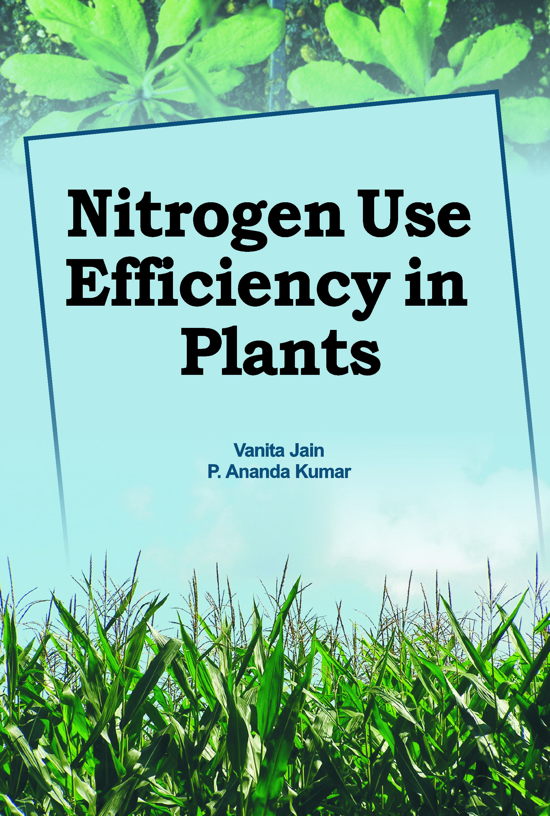 Nitrogen Use Efficiency in Plants