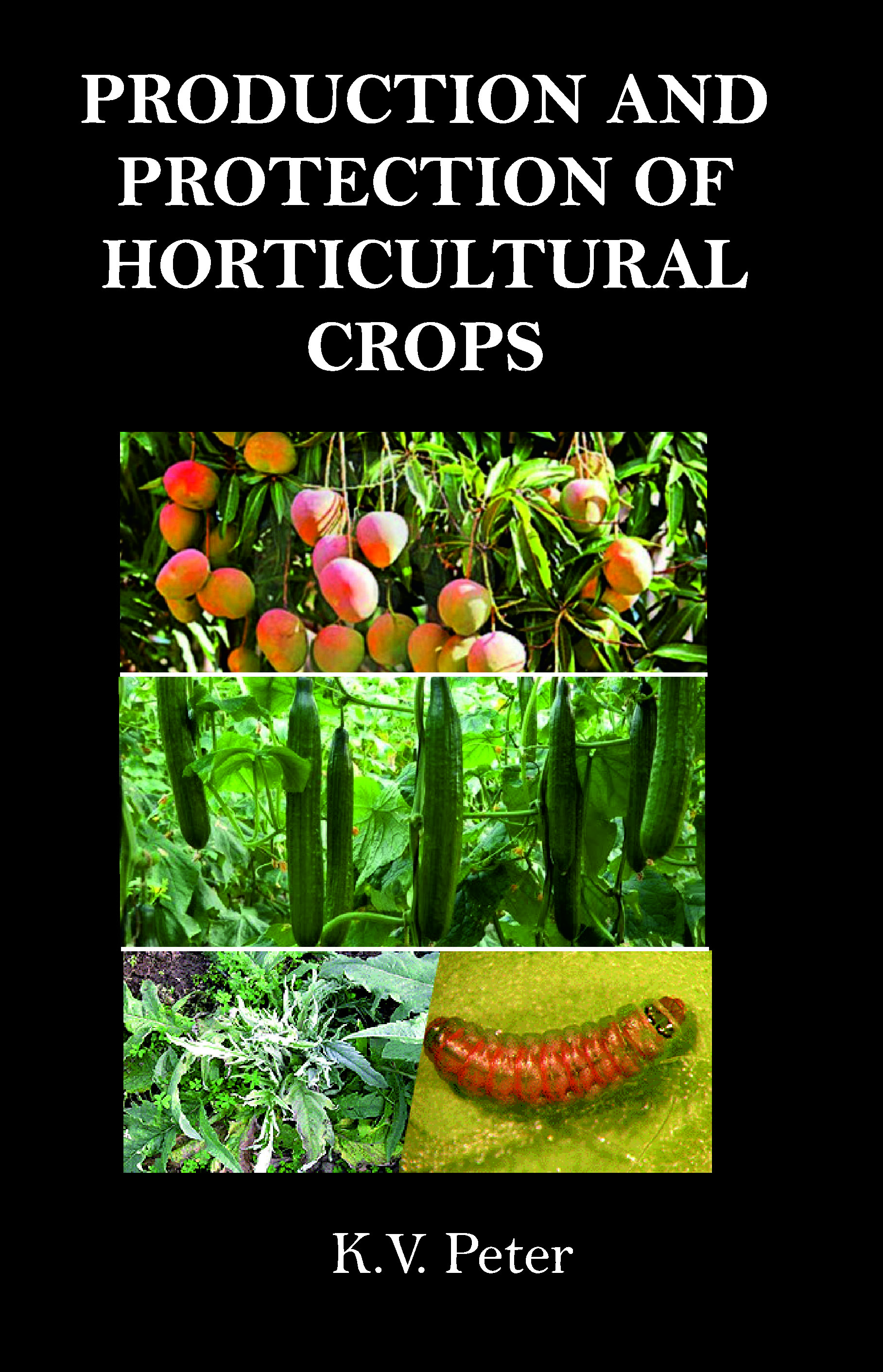 PRODUCTION AND PROTECTION OF HORTICULTURAL CROPS