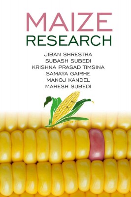 MAIZE RESEARCH