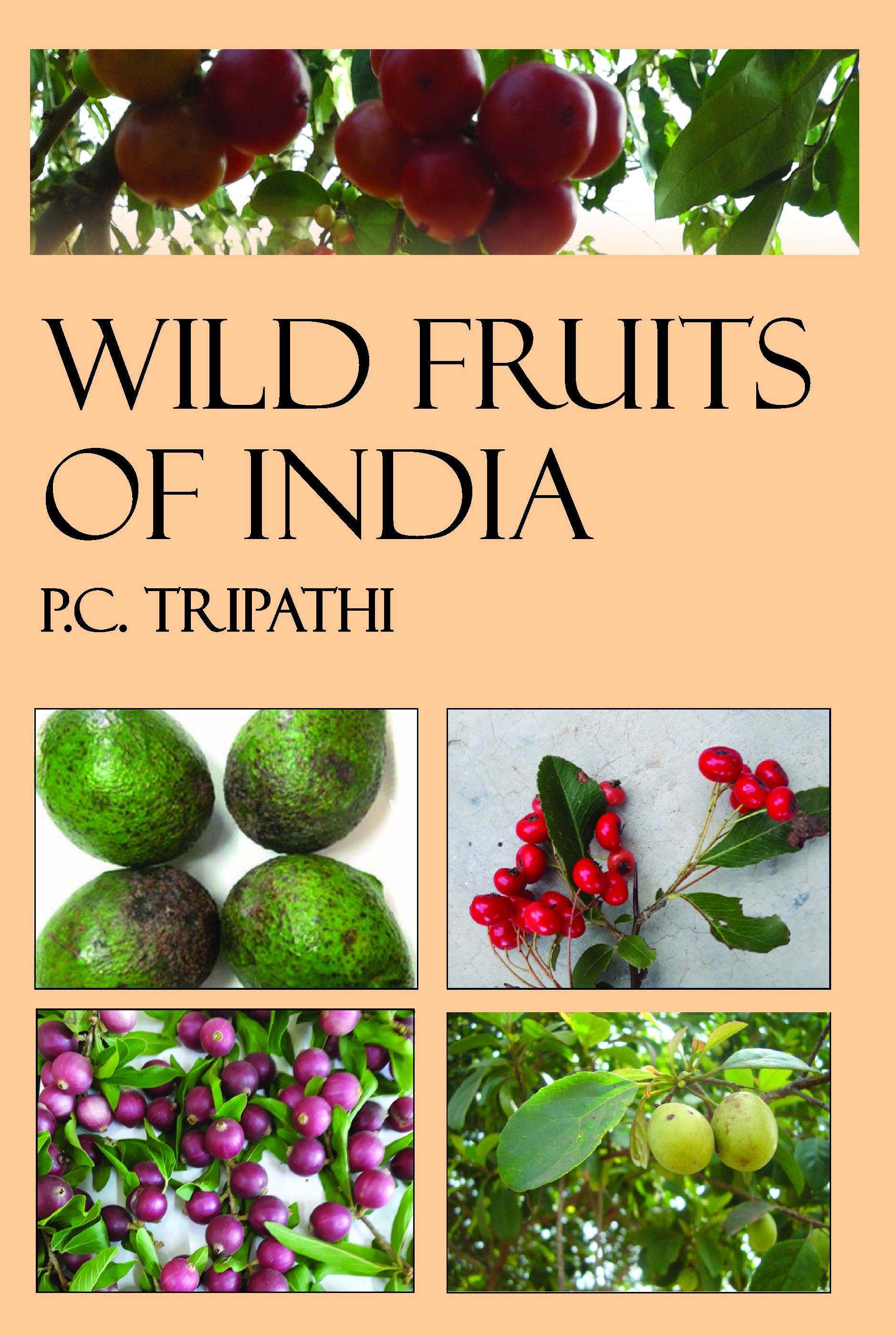 WILD FRUITS OF INDIA