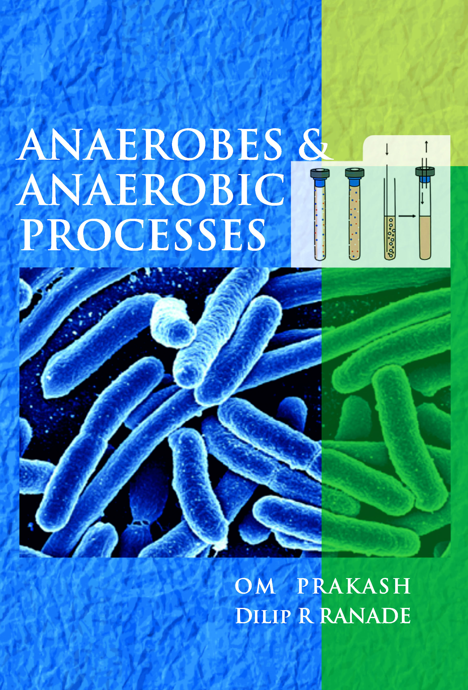 ANAEROBES AND ANAEROBIC PROCESSES