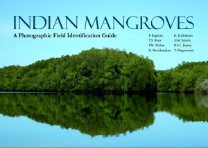 INDIAN MANGROVES : A PHOTOGRAPHIC FIELD IDENTIFICATION GUIDE