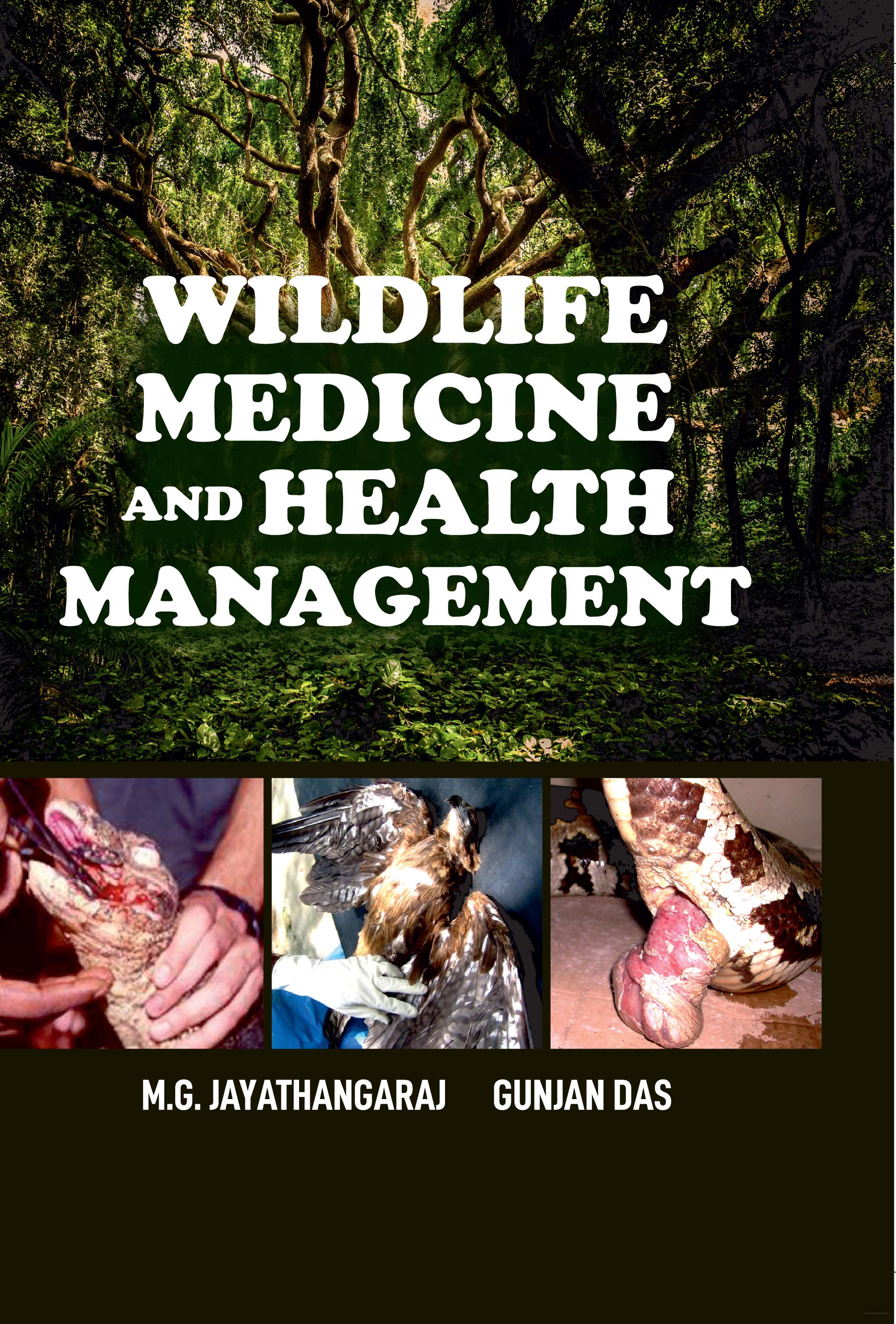 Wildlife Medicine and Health Management