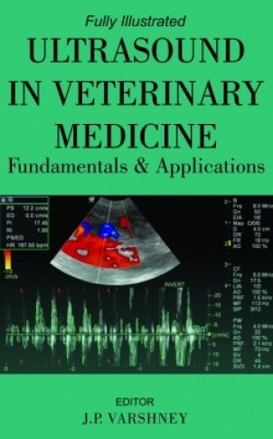 Ultrasound in Veterinary Medicine : Fundamentals and Applications
