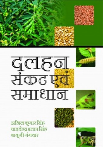 PULSES: PROBLEMS AND SOLUTIONS (HINDI)