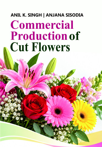Commercial Production of Cut Flowers book cover